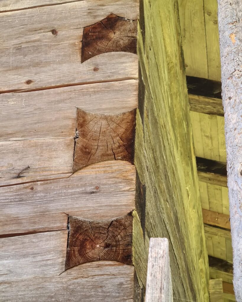 Modern Zierchrot shapes