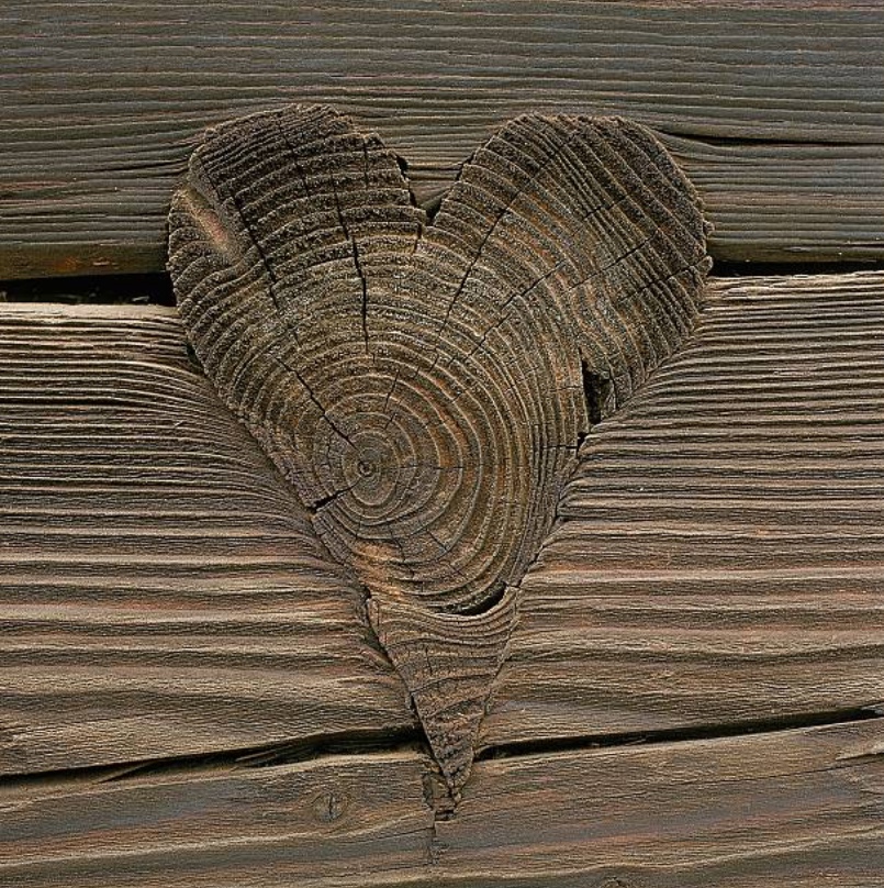 Traditional Zierchrot shapes