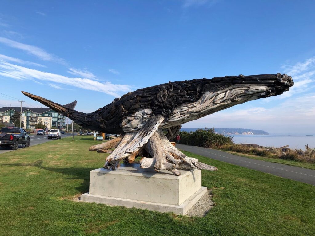Driftwood whale sculpture 