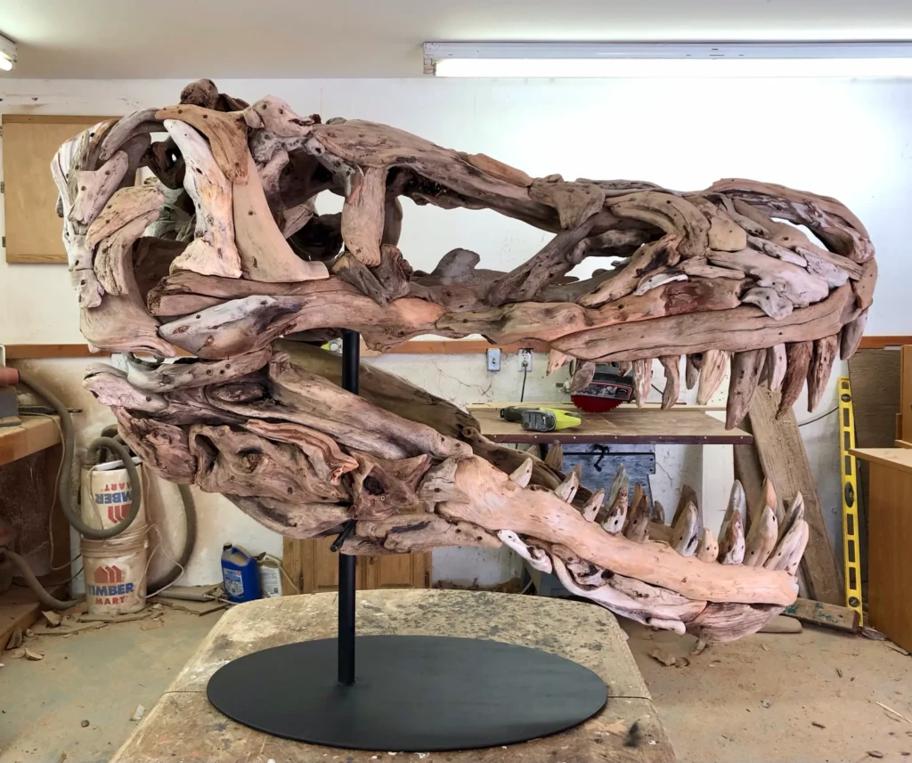 Driftwood dinosaur head