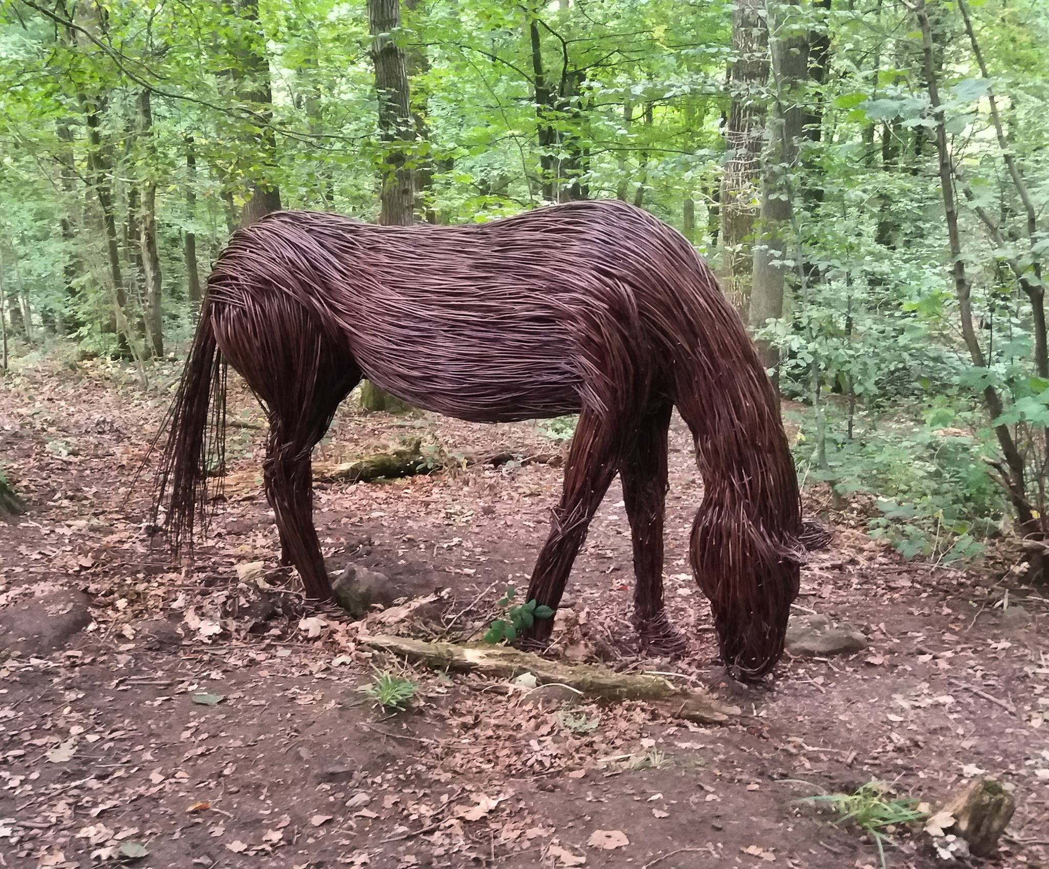 Willow Sculptures Inspired by Nature
