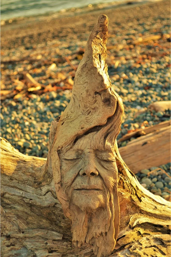 face carved in driftwood