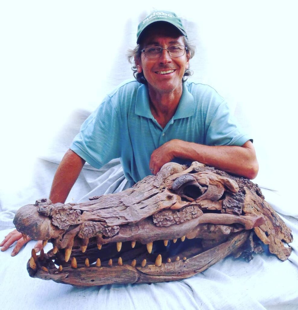 Driftwood crocodile sculpture with author Tony Fredriksson