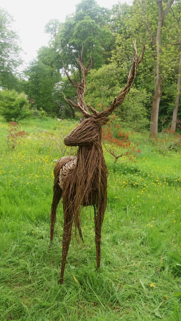 Stag willow sculpture 