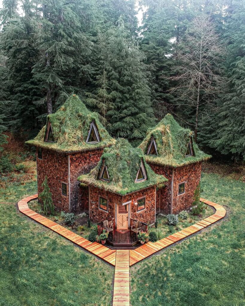 Jacob Witzling main cabin