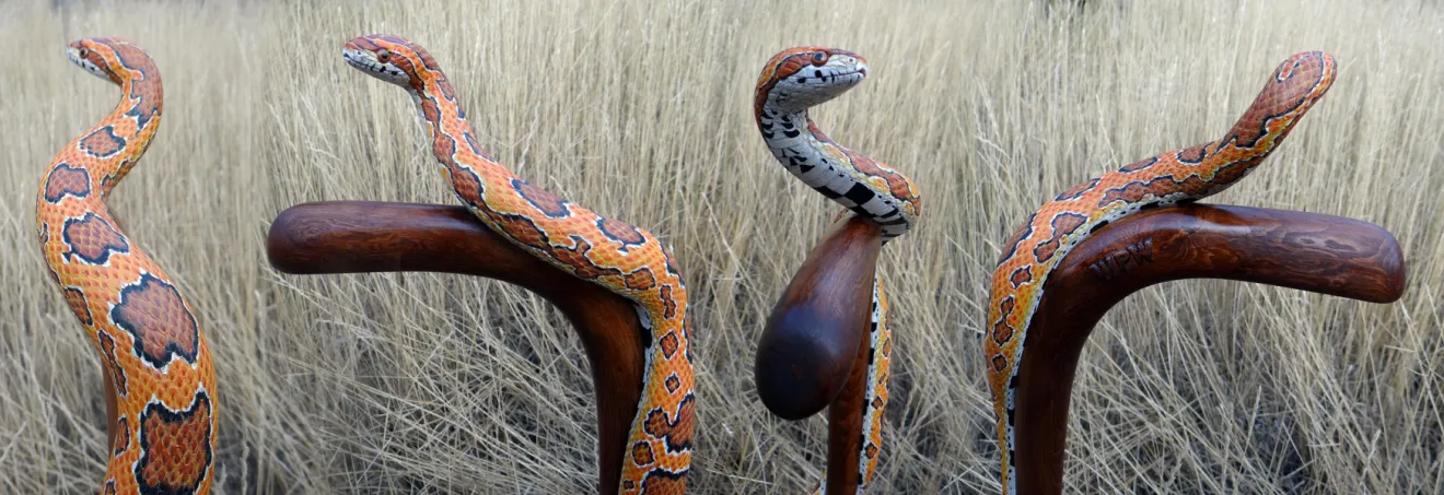 When a Cane Becomes Sculpture: The Work of Mike Stinnett