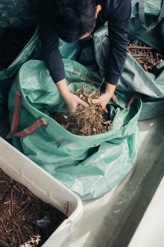 ForestBank by Studio Yumakano WIP